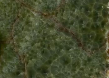 ONICE GREEN